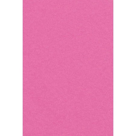 Candy Pink 54 x 108 Plastic Tablecloth