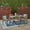 Gray/Dark Gray, variant on Frederic Outdoor 7 Piece Acacia Wood 59" Rectangular Dining Set with Carved Legs and Cushions, Gray, Dark Gray