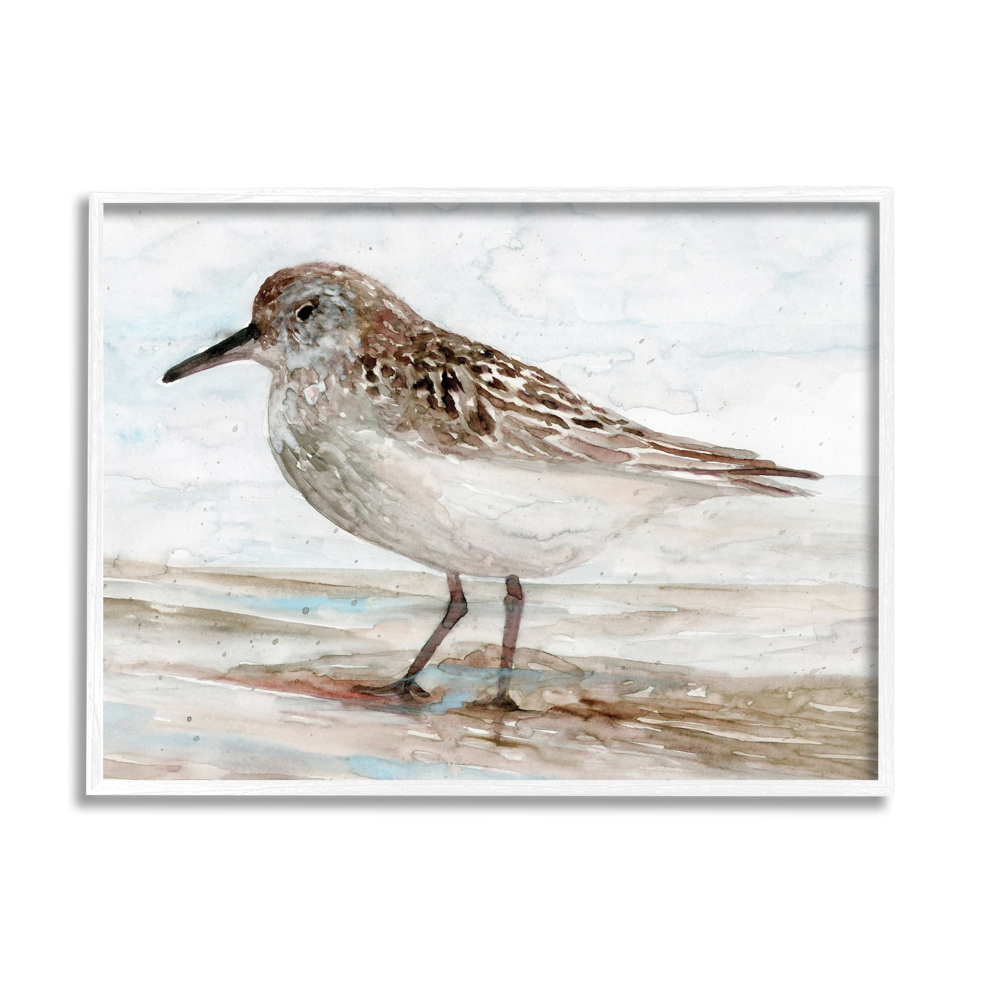 Stupell Industries Sandpiper Painting Speckled Feather Beach Bird Nautical Coast, 20 x 16, Design by Stellar Design Studio