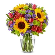 From You Flowers - Sunflower Garden for Birthday, Anniversary, Get Well, Congratulations, Thank You, All Occasions