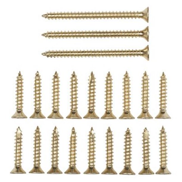 Door Hinge Screws, Bright Brass