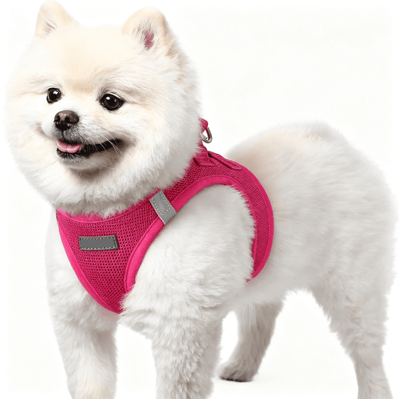 GASTROPOD Small Dog Harness, Step-In Easy on Soft Light Puppy Vest with Breathable Mesh for Walking, Safe Reflective Pet Harness for Small Sized Dogs, Rose Red S