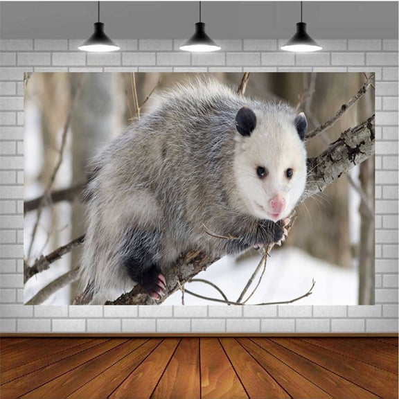 Opossum Backdrop Taspestry Wall Decor Banner Party Supplies Post Birthday Decorations Background for Photography Taspestry