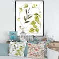 thumbnail image 2 of Designart 'Ancient Botanicals XXI' Traditional Framed Canvas Wall Art Print, 2 of 5