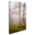 thumbnail image 2 of Trademark Fine Art 'Mysterious Forest' Canvas Art by Philippe Sainte-Laudy, 2 of 3