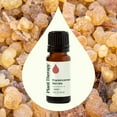 thumbnail image 3 of Plant Therapy Frankincense Serrata Essential Oil 100% Pure, Undiluted, Natural Aromatherapy, Therapeutic Grade 10 mL (1/3 oz), 3 of 8