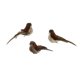 thumbnail image 1 of "Decoración con pinzas, diseño de pájaro sentado con plumas, juego de 3, marrón y rojo" Benzara Inc BM229843, 1 of 2