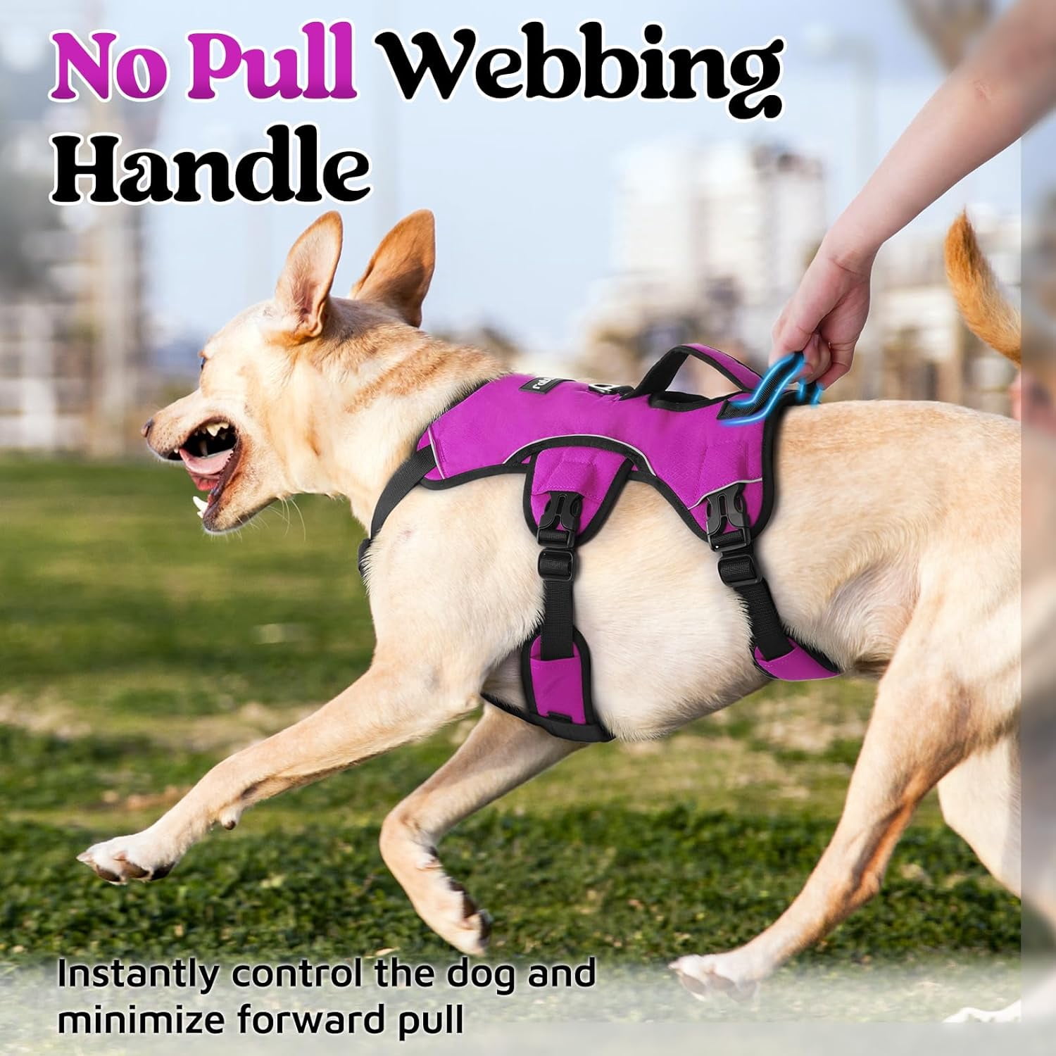 rabbitgoo Escape Proof Dog Harness, Soft Padded Full Body Pet Harness, Reflective Adjustable No Pull Vest with Lift Handle and Lesh Clip for Large Dogs Walking Hiking Training, Purple