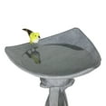 thumbnail image 5 of Hamiedun, Outdoors Concrete Tall Bird Bath, 14.50 x 14.50 x 22.80 In, 5 of 9