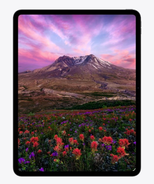 Apple 13-inch iPad Pro (M5) Wi-Fi + Cellular 256GB with OLED - Space Black