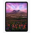 thumbnail image 4 of Restored Apple 13-inch iPad Pro (M5) Wi-Fi 512GB with OLED - Space Black (Refurbished), 4 of 5