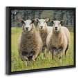 thumbnail image 3 of Stupell Industries Farmhouse Sheep Grazing in Grass Black Floating Frame Canvas Art, 21 x 17, by SunDance Group LLC, 3 of 8