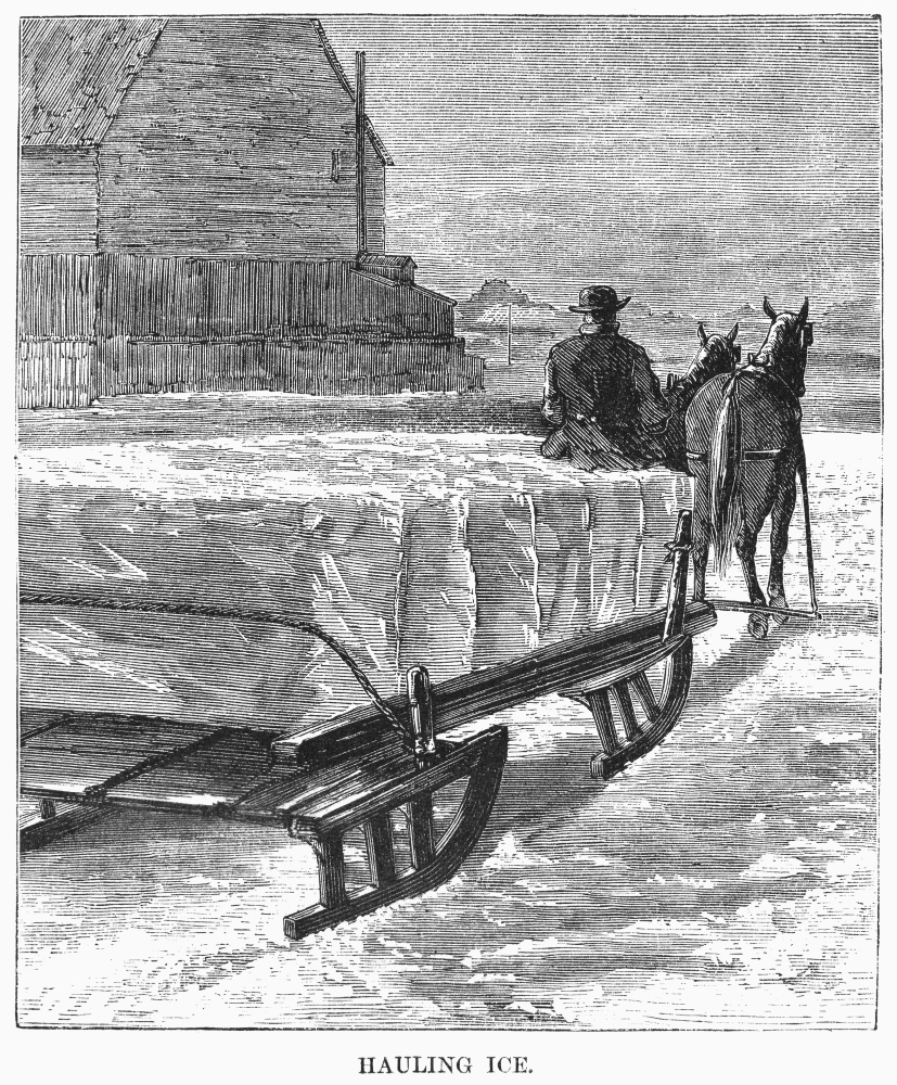 Cutting Ice, 1870. /Nhauling Blocks Of Ice Cut From A Lake In Minnesota