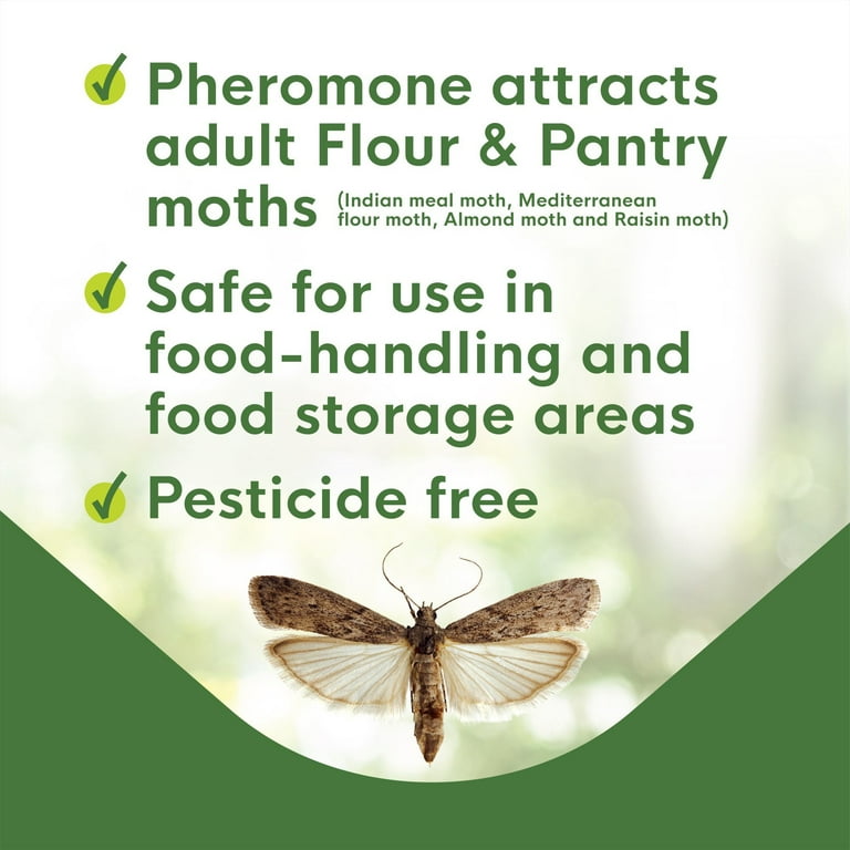  Dr. Killigan's Premium Pantry Moth Traps with Pheromones Prime, Non-Toxic Sticky Glue Trap for Food and Cupboard Moths in Your Kitchen, How to Get Rid of Moths