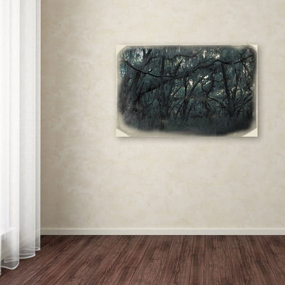 Trademark Fine Art "Forest Dreams" Canvas Art by Patty Tuggle