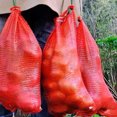 thumbnail image 3 of LCXmlly Sac en Maille Lavable pour Produits, Sac à Oignons Réutilisable avec Cordon de Serrage, Filet de Rangement Respirant pour Légumes (10 Pcs), 3 of 7
