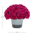 thumbnail image 3 of Better Homes & Gardens 1.5gal Pink Garden Chrysanthemum Plant Decorative Pot Sun, 3 of 7