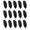 thumbnail image 2 of Clearance! Eguiwyn 68Inch(1520cm) Feathers Plume for Wedding Centerpieces Home Decoration Pack Of 15Pcs Large Natural Plumas Para Decoraciones for Home Decor Party Wedding Decorations, 2 of 7