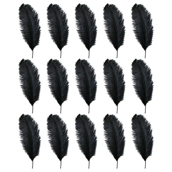 BINGLI 15Pcs Black Ostrich Feathers 6-8'' Bulk Feathers for Decoration, Wedding Centerpieces, Mother's Day, Crafts, Carnival, Party Decor, Floral Arrangement, Bohemian Home Decor (Black)
