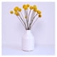 thumbnail image 5 of Flores secas Golden Ball - Golden Ball Medium 20 unidades sin jarrón Ormromra LL-1895, 5 of 5