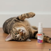 SmartyKat Catnip Mist Pure & Potent Catnip-Infused Liquid Catnip Spray, Trial Size, 0.5 0z