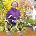 thumbnail image 5 of Metal Ground Stakes, Trellis Outdoor, Outdoor Trellis, Outdoor Garden, Metal Trellis, Tall Plant Stakes, 15.7X2.7 In, Gold, Vine Growth, 1 Pc, 5 of 5