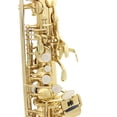 thumbnail image 3 of Saxofón Latón Eb Alto Saxofón Instrumento de viento de madera lacado dorado con estuche de transporte Guantes Cepillo de paño de limpieza Correa de saxofón Mudo Boquilla Cepillo TOMSHOO Saxofón, 3 of 6