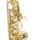 thumbnail image 3 of Saxofón Latón Eb Alto Saxofón Instrumento de viento de madera lacado dorado con estuche de transporte Guantes Cepillo de paño de limpieza Correa de saxofón Mudo Boquilla Cepillo TOMSHOO Saxofón, 3 of 6