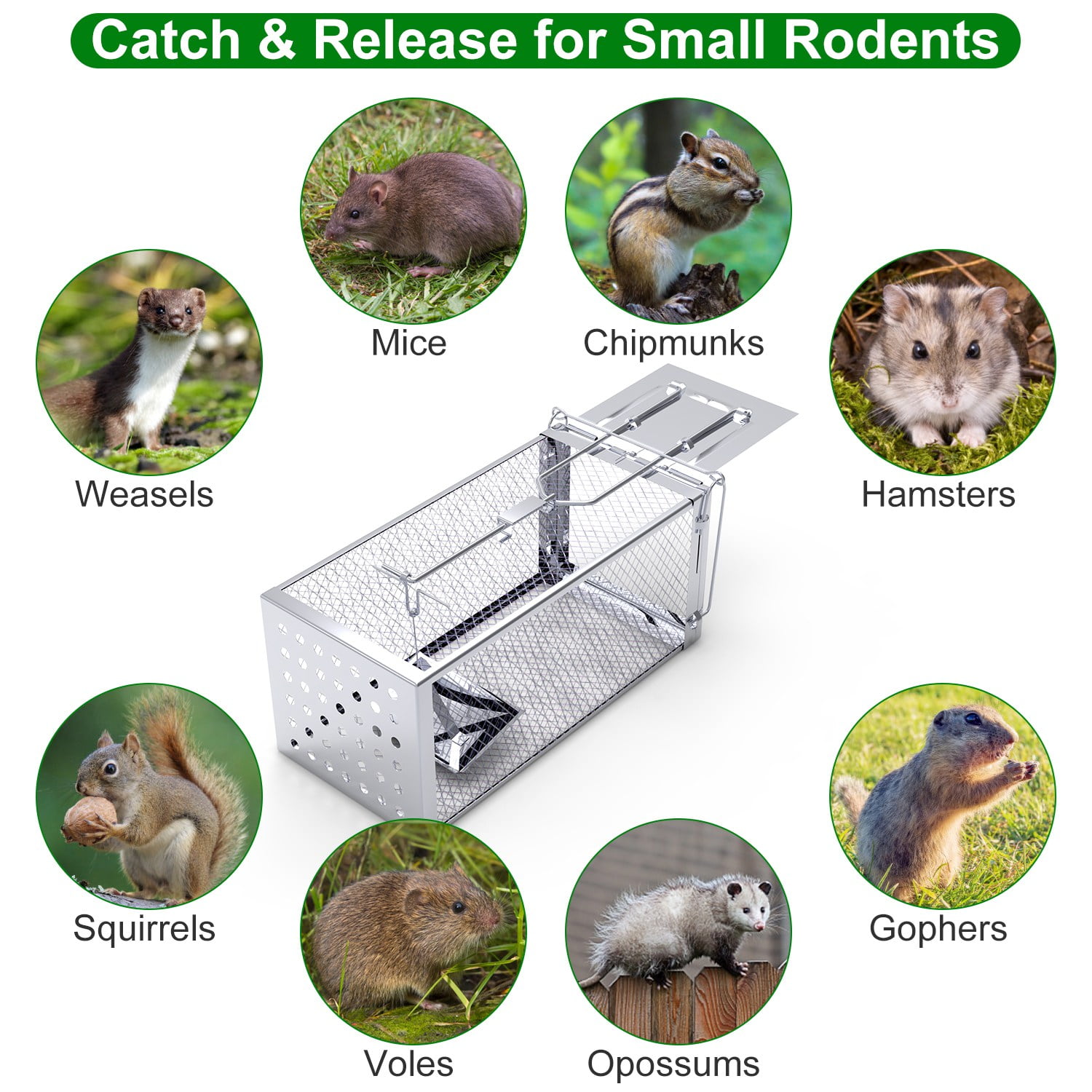 TeqHome Humane Mouse Traps, 11.8" Single Door Rat Trap Cage for Small Rodents Mice Voles Reusable Easy to Set Mice Catcher for Indoor Outdoor