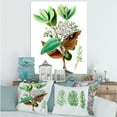 thumbnail image 2 of Designart ' Ancient Plant Life XXVIII ' Traditional Canvas Wall Art Print, 2 of 4