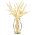 thumbnail image 1 of Jarrón Para Pampasgras, Glasgoldvase Hochbodenvase Mit Geometrischem Metallgestellst?nder, Knospenblumentopf Para Skandinavische Dekoration Para Schreibtischbürohochzeitsmittelstück, 1 of 6