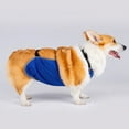thumbnail image 4 of High Absorbing Belly Bands Washable Dog Belly Wrap Stain Resistant Pet Belly Wrap for Indoor Outdoor Use, 4 of 8