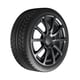 thumbnail image 3 of Llanta 225/50zr16 Bf Goodrich Gforce Sport Comp2 92w BFGOODRICH G-FORCE SPORT COMP-2, 3 of 3