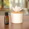 thumbnail image 2 of ScentSationals, 100% huile, Menthe poivrée, 2 of 8