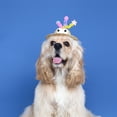 thumbnail image 5 of BQBQERT Straw Hat for Cats Dogs 2PCS Festival Pet Straw Hat Lovely Tiny Hat Outdoor Camping Hat Headwear for Bichon, 5 of 16