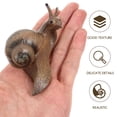thumbnail image 4 of Miangastore 1 Set of Fake Snail Growth Models Simulation Snail Growth Cycle Models Kids Teaching Props, 4 of 9