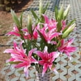 thumbnail image 2 of La Simulación Florece Nupcial de La Boda Del Artificial 3-Head - Rosado Sunnimix Flores artificiales, 2 of 8