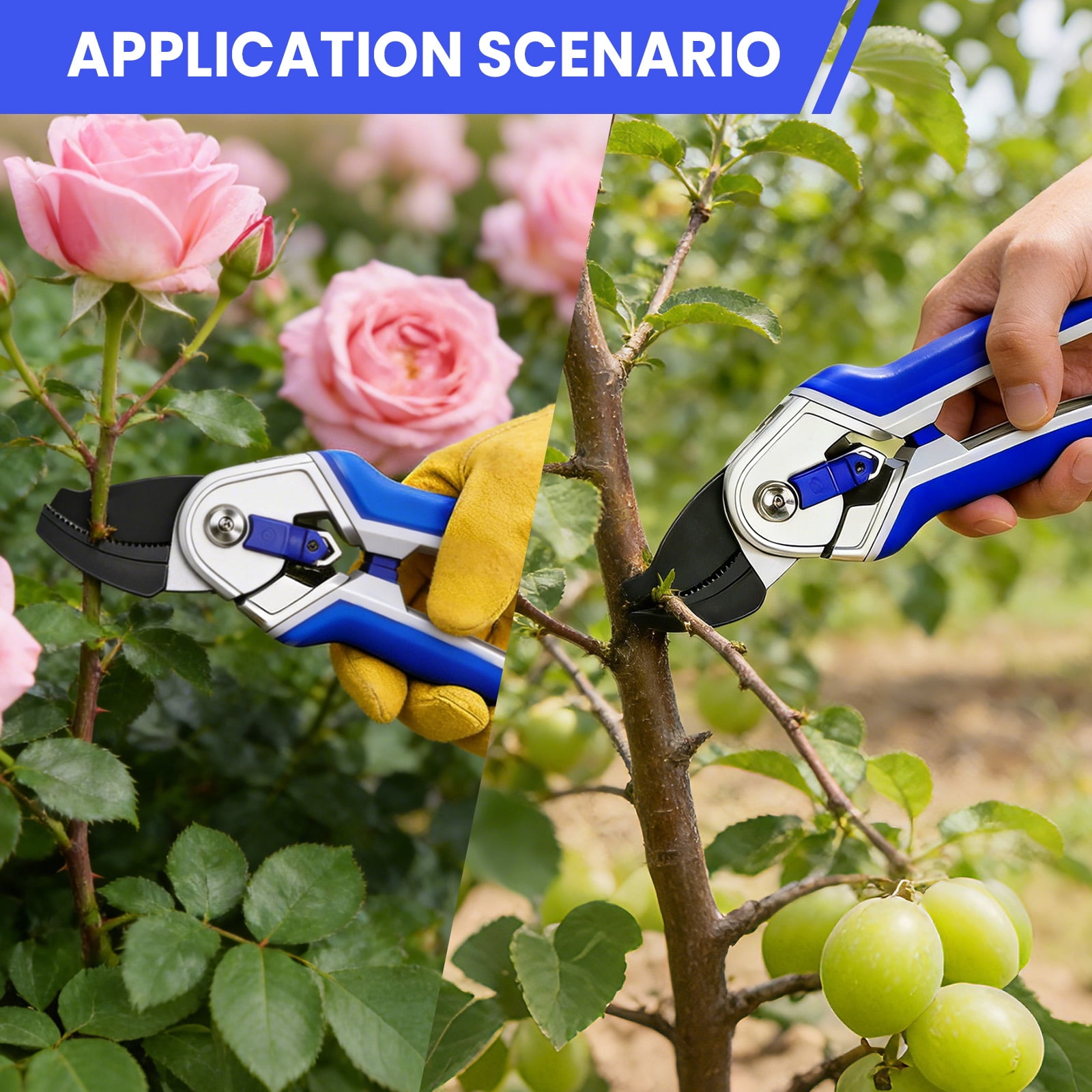 2 Pack Pruning Shears for Gardening,8 Inch Bypass & Anvil Pruners, Heavy Duty Garden Scissors with Comfort Grip,Professional Hand Pruners Gardening Tools, Perfect for Maintaining Plant
