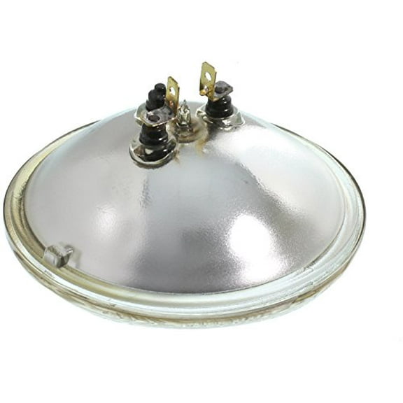 Wagner Lighting 4578 Standard Multi-Purpose Light Bulb Box of 1