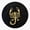 1pcs, variant on Scorpio black leather and gold Sticker