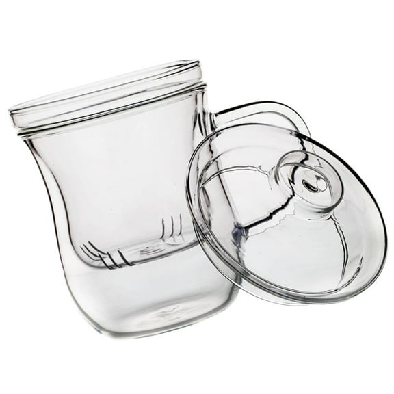 Eease Cabilock Double Wall Insulated Glass Coffee Mug with Lid and Infuser