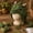 B, variant on Fantasy Hood Hat DIY Crochet Kit Series,Animal Crochet Kit for Beginners with Step-by-Step Instructions,All-in-One Complete Set for Dragon Fox Wolf Frog Rainbow Hoods,Craft Gift (B)