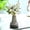 Gray-A, variant on PONPRNGY Propagation Vases for Plants, Small Glass Jar Planters for Hydroponic Cutting Flowers, Plant Station Bud Vases for Centerpieces Home office Decor Gift