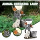 thumbnail image 5 of Solar Garden Statue Lights, Resin Cat Statues, Garden Cat Sculpture, Solar Statue Lamps Squirrel Model Night Light for Garden Patio Yard Lawn Outdoor, 5 of 5