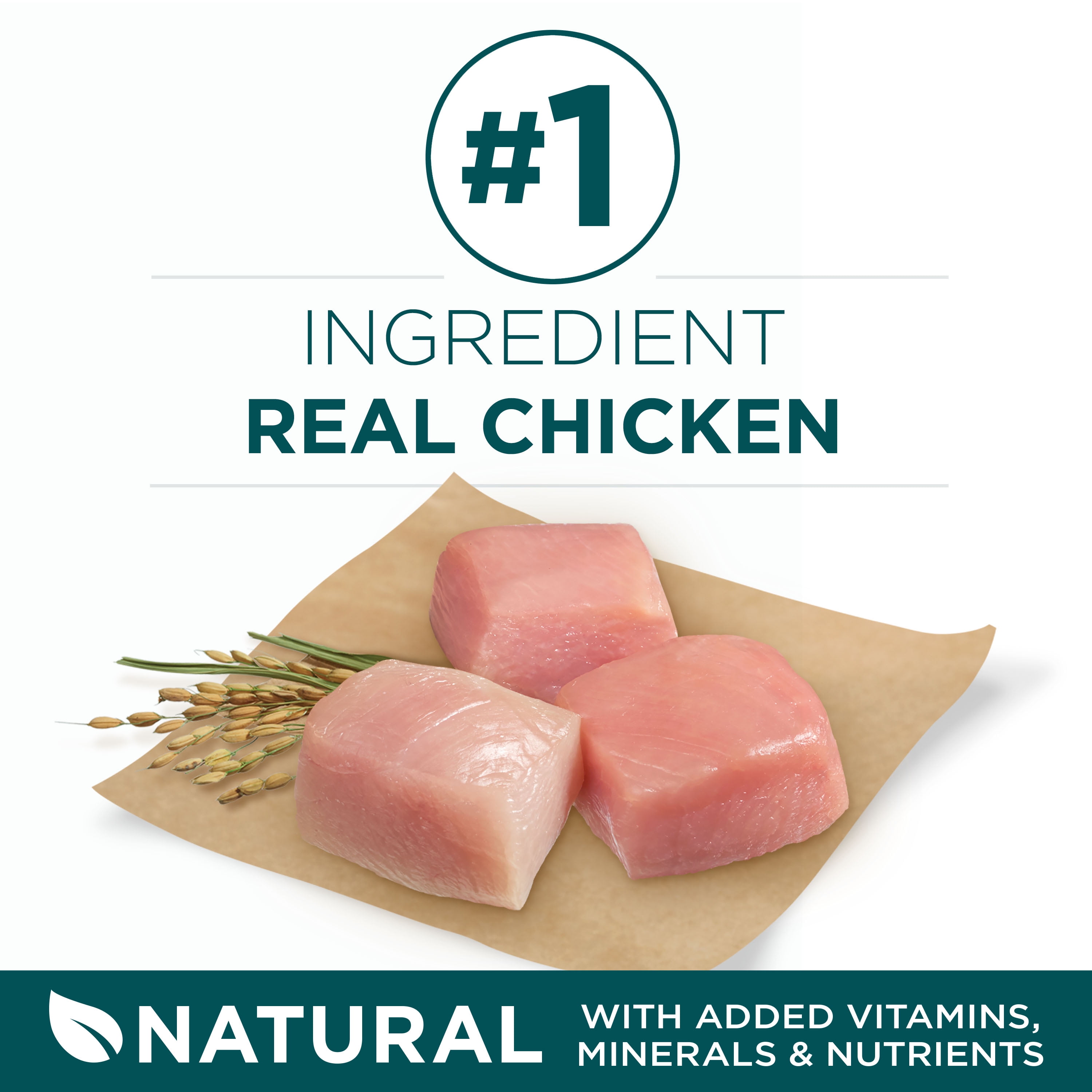 purina one large breed puppy walmart