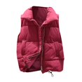 thumbnail image 1 of Chaleco de bolsillo para mujer YONGSHENG abrigo Chaqueta corta invierno sin mangas Cuello vuelto, 1 of 4