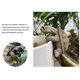 thumbnail image 2 of Tortoise Figurine Estatua Borde Decorativo La Plantadora para Jarrones Pescado, 2 of 5