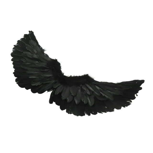 Conjunto De Disfraz De Alas De Ángel, Alas De Cosplay De Navidad Y Halloween Con Plumas Reales Para Niños Y Adultos, Sesión De Fotos De Actuación De Fiesta