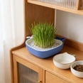 thumbnail image 6 of AuroraX Cat Grass Planter Hydroponic Cat Grass Kit Indoor Whales Shaped Cute No Mess Pet Supplies, 6 of 6