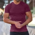 thumbnail image 5 of SROBPTY Mens T-Shirts Solid Round Neck Short Sleeve Stretch Basic Summer Tops for Everyday Wear, 5 of 5